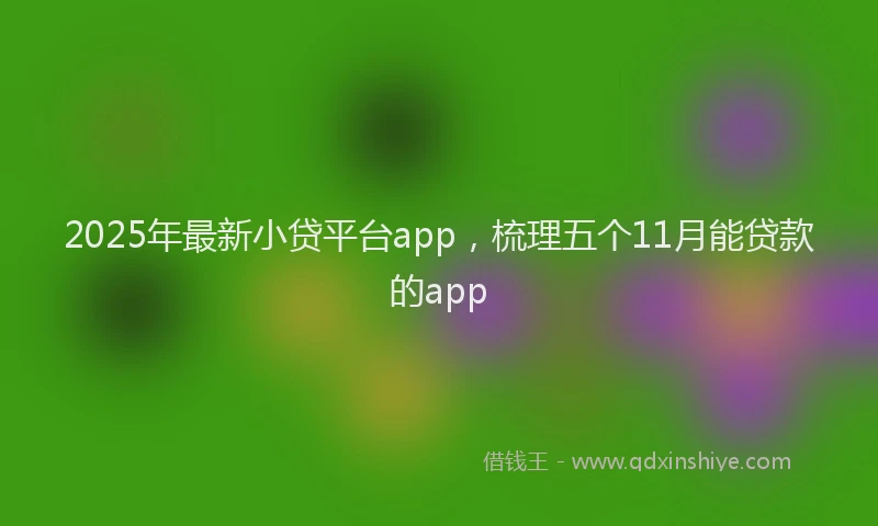 2025年最新小贷平台app，梳理五个11月能贷款的app