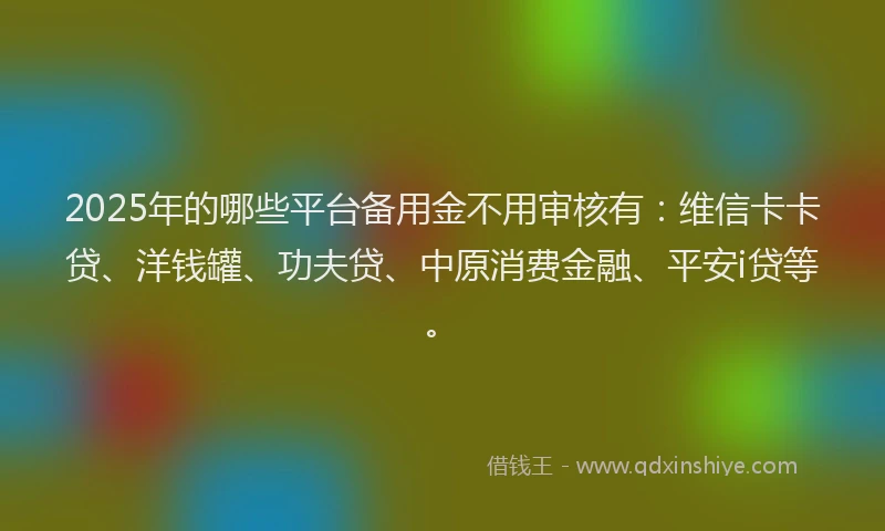2025年的哪些平台备用金不用审核有：维信卡卡贷、洋钱罐、功夫贷、中原消费金融、平安i贷等。