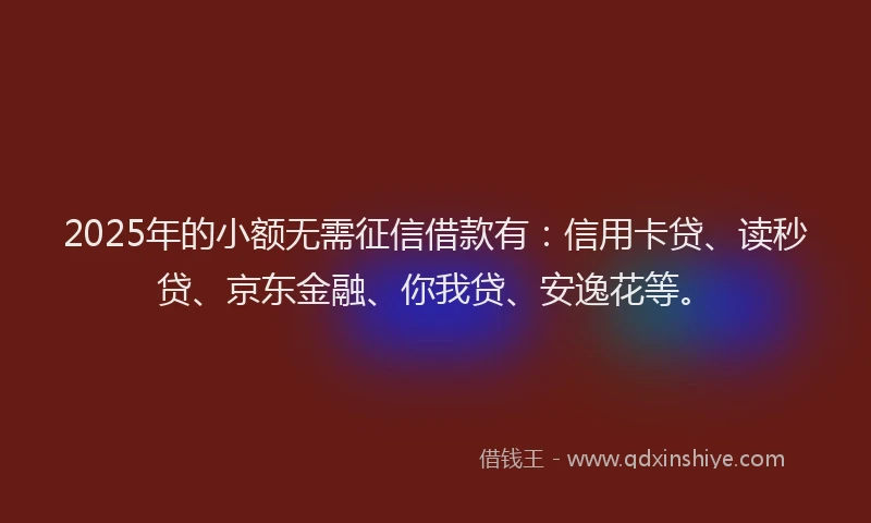 2025年的小额无需征信借款有：信用卡贷、读秒贷、京东金融、你我贷、安逸花等。