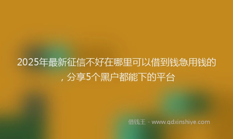 2025年最新征信不好在哪里可以借到钱急用钱的，分享5个黑户都能下的平台
