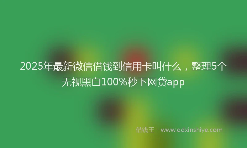 2025年最新微信借钱到信用卡叫什么，整理5个无视黑白100%秒下网贷app