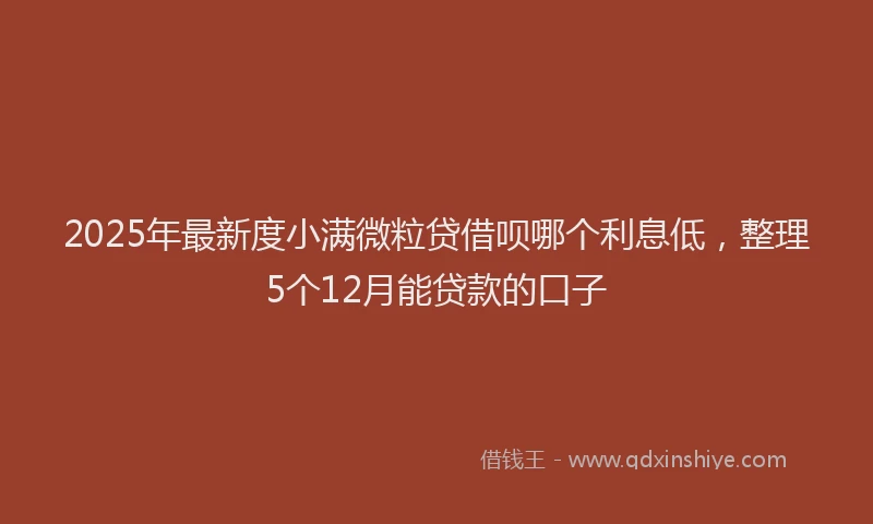 2025年最新度小满微粒贷借呗哪个利息低，整理5个12月能贷款的口子