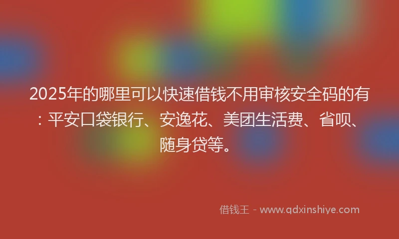 2025年的哪里可以快速借钱不用审核安全码的有：平安口袋银行、安逸花、美团生活费、省呗、随身贷等。