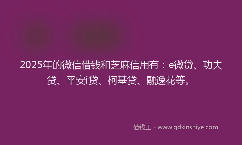 2025年的微信借钱和芝麻信用有：e微贷、功夫贷、平安i贷、柯基贷、融逸花等。