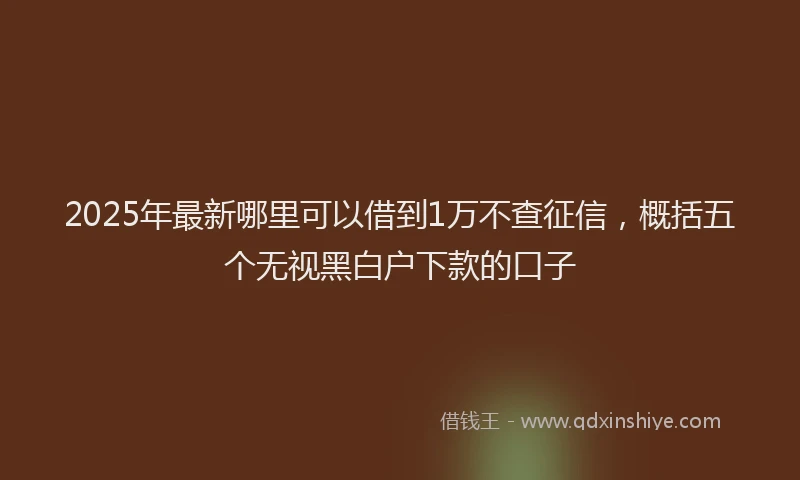 2025年最新哪里可以借到1万不查征信，概括五个无视黑白户下款的口子