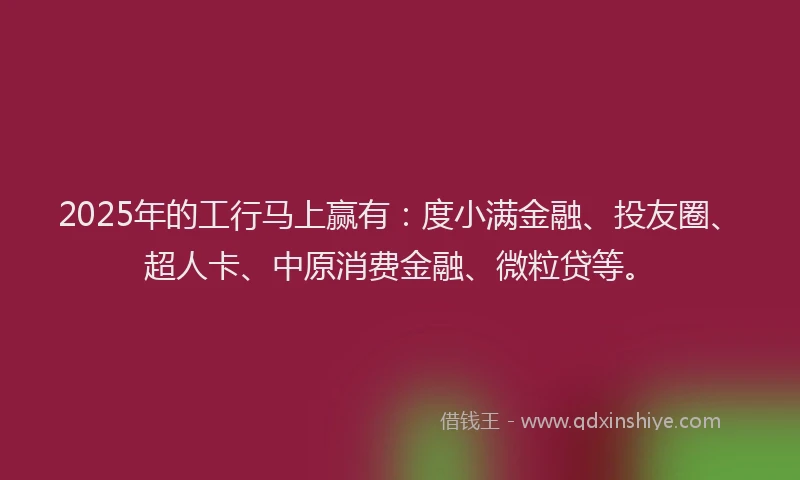 2025年的工行马上赢有：度小满金融、投友圈、超人卡、中原消费金融、微粒贷等。