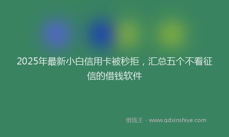 2025年最新小白信用卡被秒拒，汇总五个不看征信的借钱软件