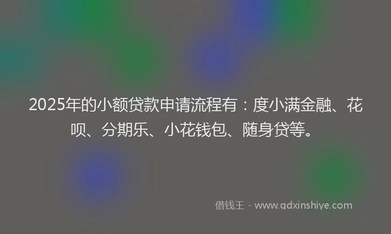 2025年的小额贷款申请流程有：度小满金融、花呗、分期乐、小花钱包、随身贷等。