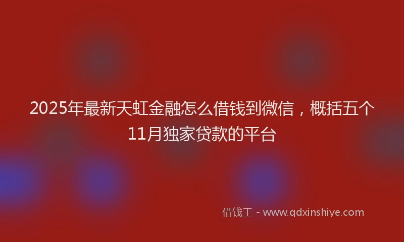 2025年最新天虹金融怎么借钱到微信，概括五个11月独家贷款的平台
