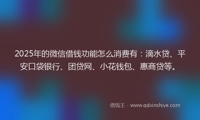 2025年的微信借钱功能怎么消费有：滴水贷、平安口袋银行、团贷网、小花钱包、惠商贷等。