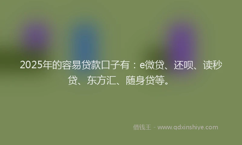 2025年的容易贷款口子有：e微贷、还呗、读秒贷、东方汇、随身贷等。