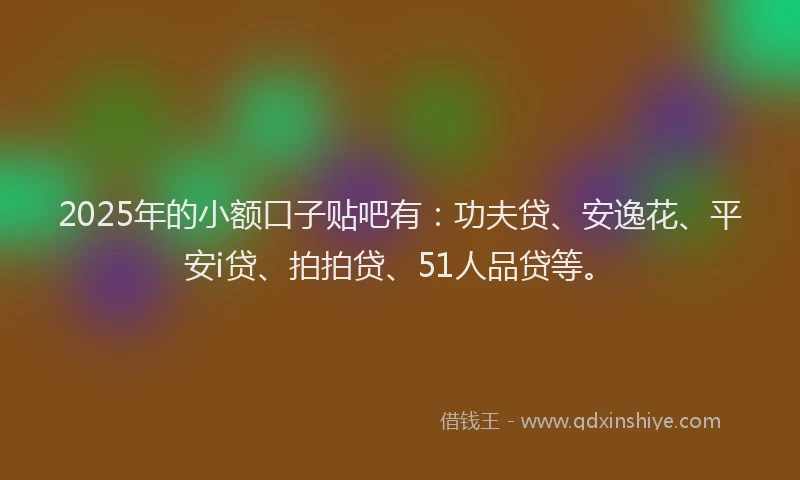 2025年的小额口子贴吧有：功夫贷、安逸花、平安i贷、拍拍贷、51人品贷等。