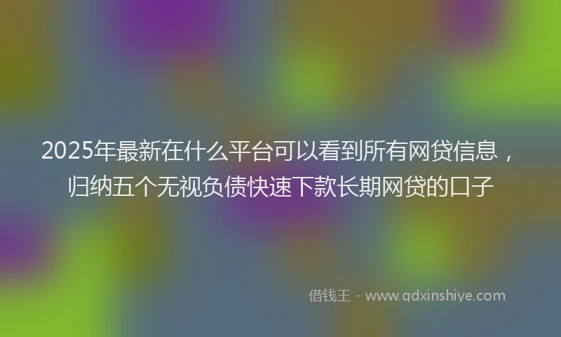 2025年最新在什么平台可以看到所有网贷信息，归纳五个无视负债快速下款长期网贷的口子
