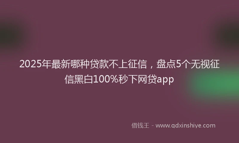 2025年最新哪种贷款不上征信，盘点5个无视征信黑白100%秒下网贷app