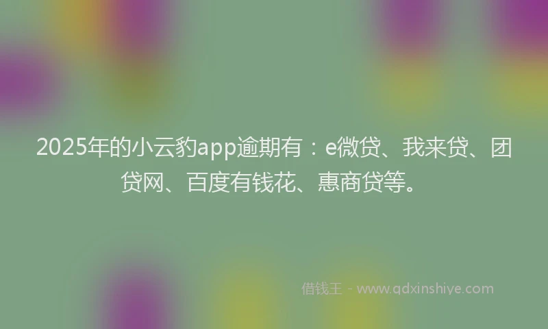 2025年的小云豹app逾期有：e微贷、我来贷、团贷网、百度有钱花、惠商贷等。