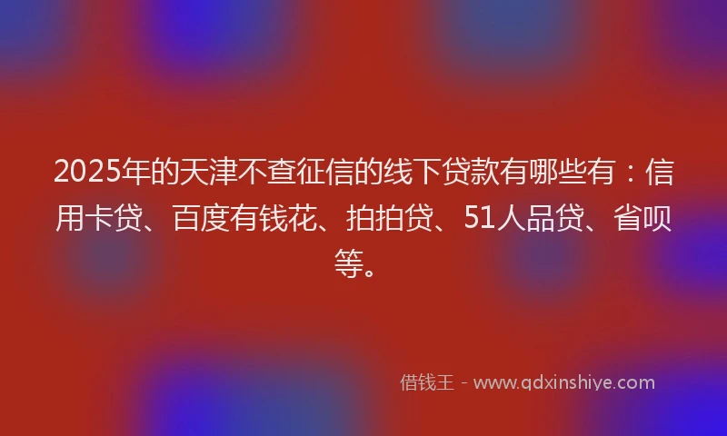 2025年的天津不查征信的线下贷款有哪些有：信用卡贷、百度有钱花、拍拍贷、51人品贷、省呗等。