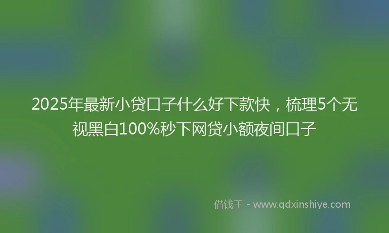 2025年最新小贷口子什么好下款快，梳理5个无视黑白100%秒下网贷小额夜间口子