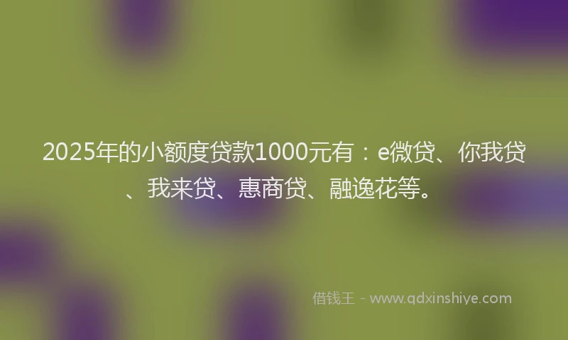 2025年的小额度贷款1000元有：e微贷、你我贷、我来贷、惠商贷、融逸花等。