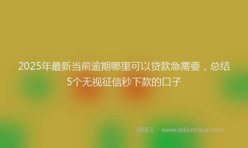 2025年最新当前逾期哪里可以贷款急需要，总结5个无视征信秒下款的口子