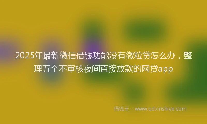 2025年最新微信借钱功能没有微粒贷怎么办，整理五个不审核夜间直接放款的网贷app