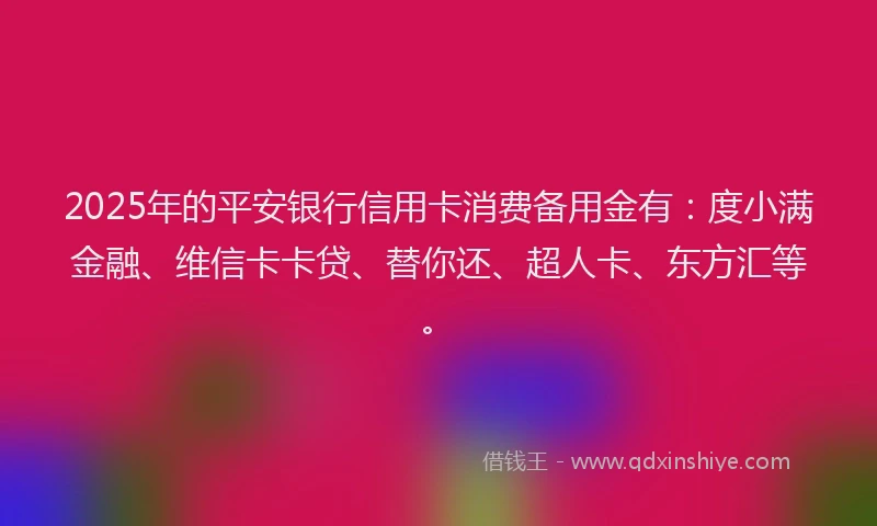 2025年的平安银行信用卡消费备用金有：度小满金融、维信卡卡贷、替你还、超人卡、东方汇等。
