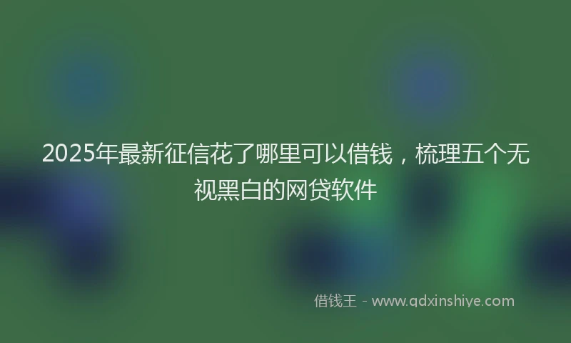 2025年最新征信花了哪里可以借钱，梳理五个无视黑白的网贷软件