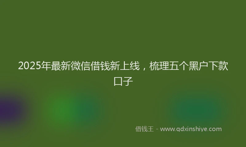 2025年最新微信借钱新上线，梳理五个黑户下款口子