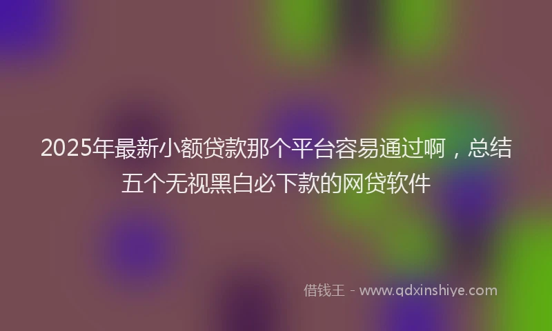 2025年最新小额贷款那个平台容易通过啊，总结五个无视黑白必下款的网贷软件
