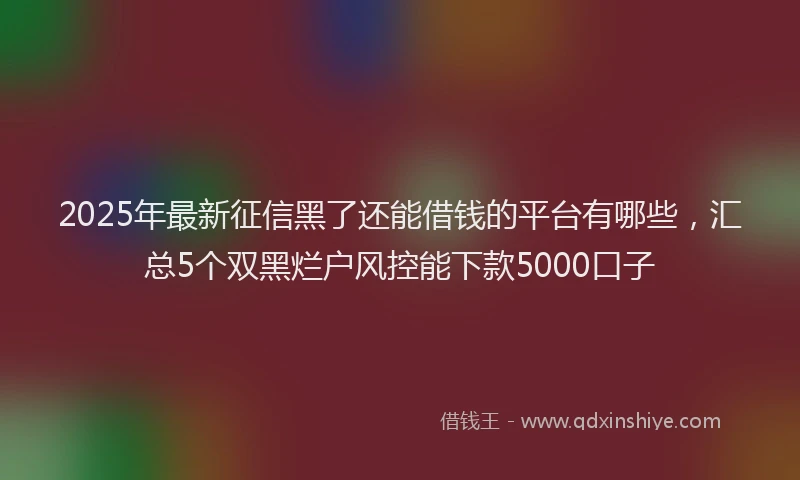 2025年最新征信黑了还能借钱的平台有哪些，汇总5个双黑烂户风控能下款5000口子