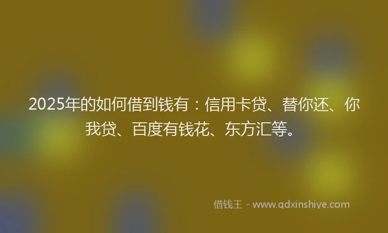 2025年的如何借到钱有：信用卡贷、替你还、你我贷、百度有钱花、东方汇等。