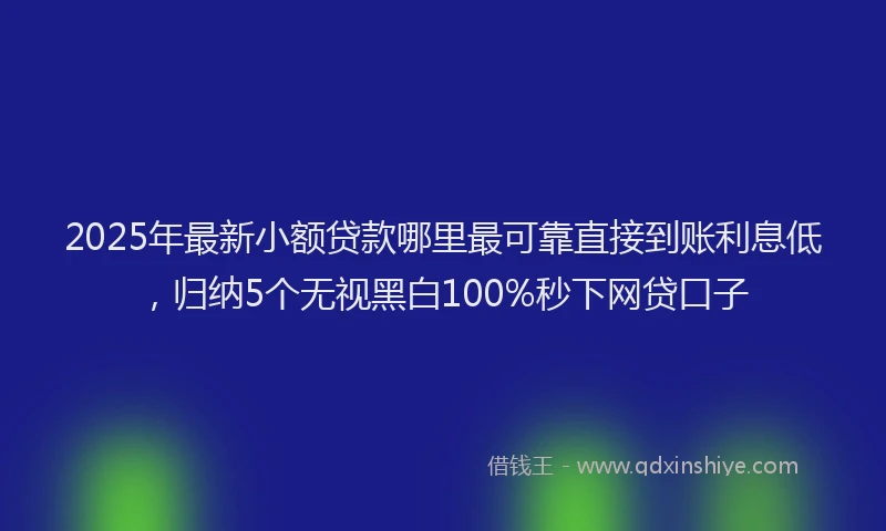 2025年最新小额贷款哪里最可靠直接到账利息低，归纳5个无视黑白100%秒下网贷口子