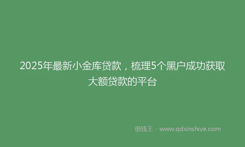 2025年最新小金库贷款，梳理5个黑户成功获取大额贷款的平台