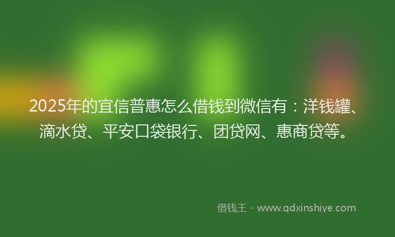 2025年的宜信普惠怎么借钱到微信有：洋钱罐、滴水贷、平安口袋银行、团贷网、惠商贷等。