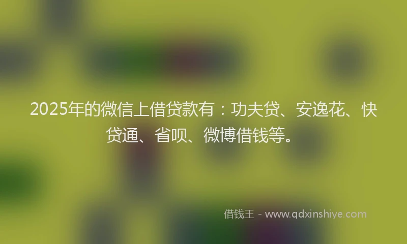 2025年的微信上借贷款有：功夫贷、安逸花、快贷通、省呗、微博借钱等。