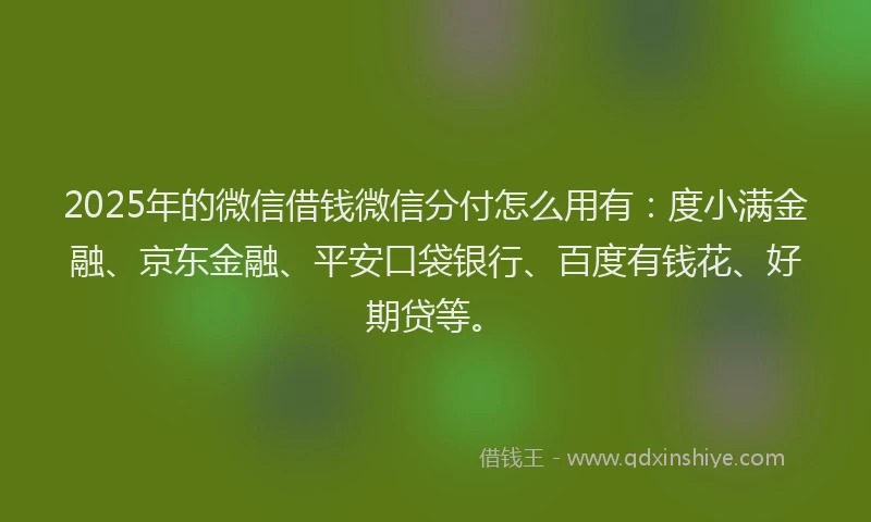 2025年的微信借钱微信分付怎么用有：度小满金融、京东金融、平安口袋银行、百度有钱花、好期贷等。