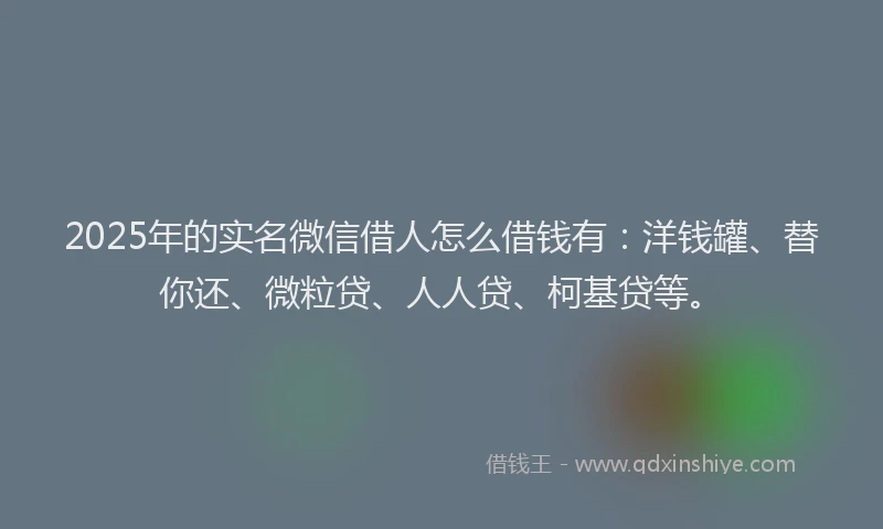2025年的实名微信借人怎么借钱有：洋钱罐、替你还、微粒贷、人人贷、柯基贷等。