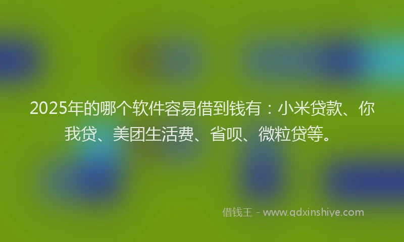 2025年的哪个软件容易借到钱有：小米贷款、你我贷、美团生活费、省呗、微粒贷等。