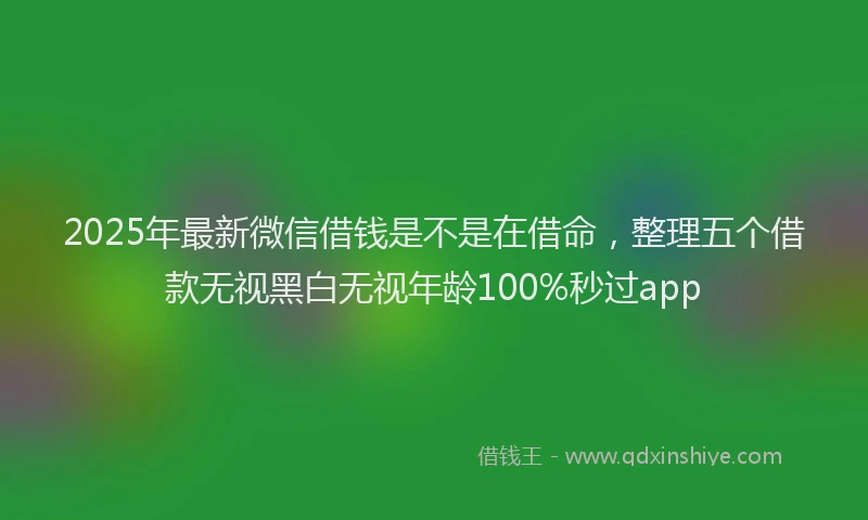 2025年最新微信借钱是不是在借命，整理五个借款无视黑白无视年龄100%秒过app