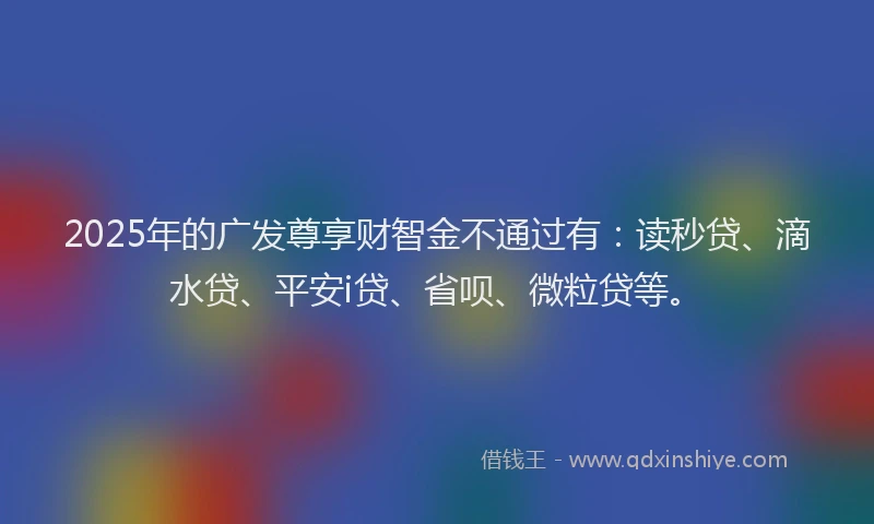 2025年的广发尊享财智金不通过有：读秒贷、滴水贷、平安i贷、省呗、微粒贷等。