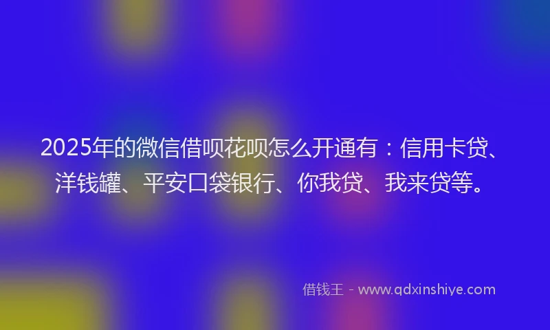 2025年的微信借呗花呗怎么开通有：信用卡贷、洋钱罐、平安口袋银行、你我贷、我来贷等。