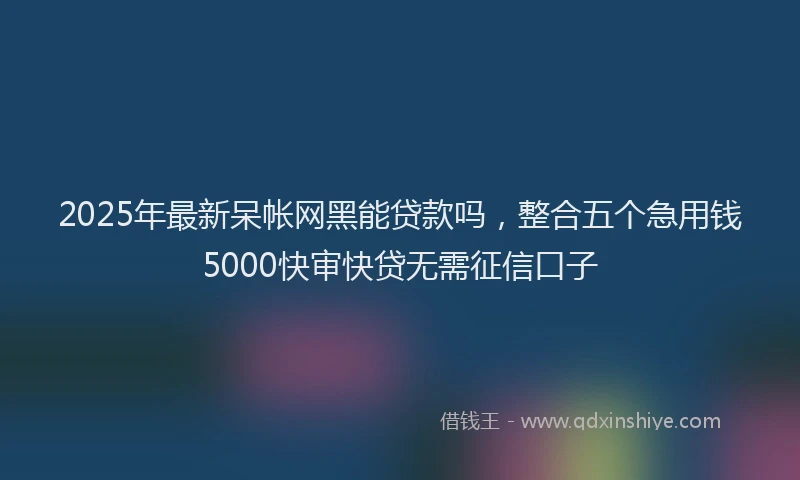 2025年最新呆帐网黑能贷款吗，整合五个急用钱5000快审快贷无需征信口子