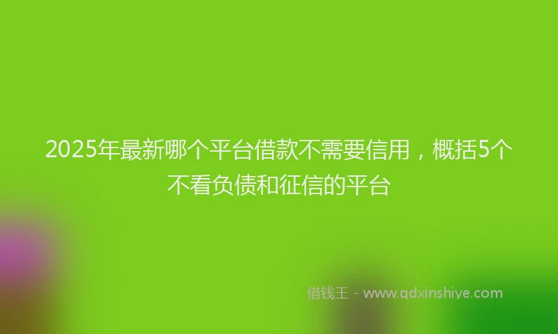 2025年最新哪个平台借款不需要信用，概括5个不看负债和征信的平台