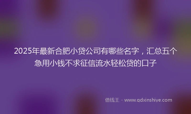 2025年最新合肥小贷公司有哪些名字，汇总五个急用小钱不求征信流水轻松贷的口子