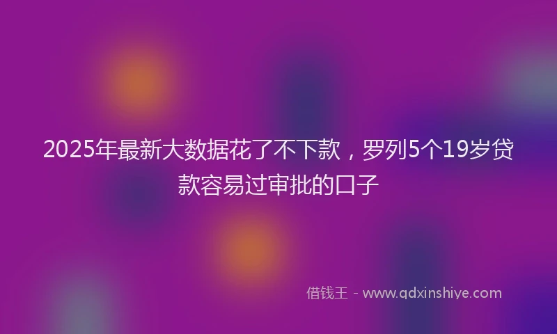 2025年最新大数据花了不下款，罗列5个19岁贷款容易过审批的口子