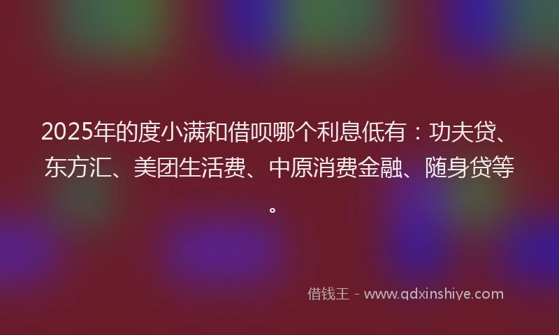 2025年的度小满和借呗哪个利息低有：功夫贷、东方汇、美团生活费、中原消费金融、随身贷等。