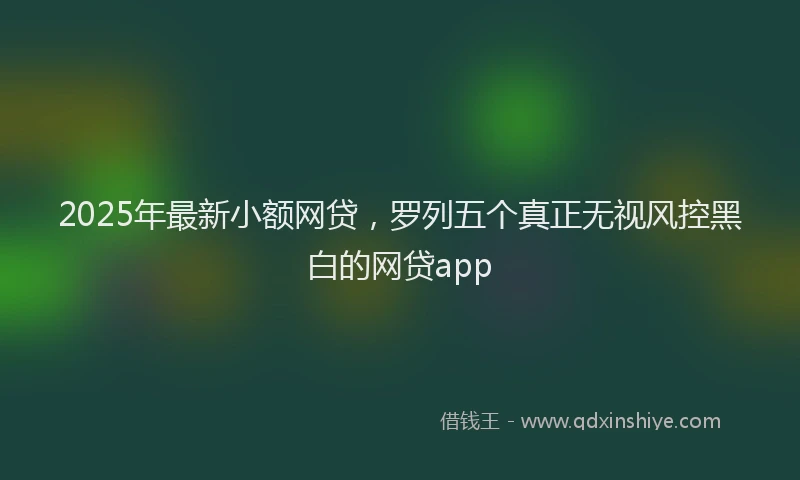 2025年最新小额网贷，罗列五个真正无视风控黑白的网贷app
