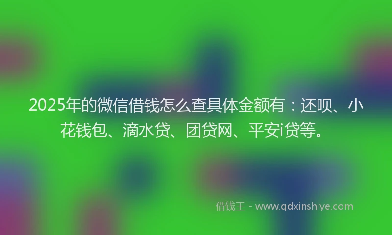 2025年的微信借钱怎么查具体金额有：还呗、小花钱包、滴水贷、团贷网、平安i贷等。