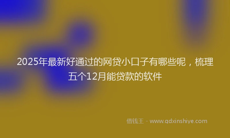 2025年最新好通过的网贷小口子有哪些呢，梳理五个12月能贷款的软件