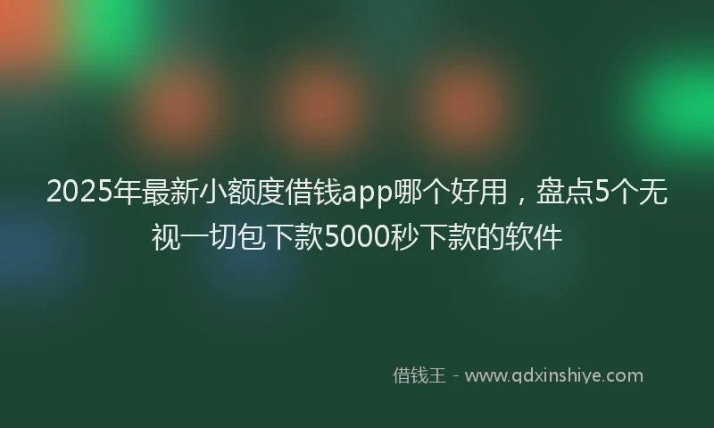 2025年最新小额度借钱app哪个好用，盘点5个无视一切包下款5000秒下款的软件