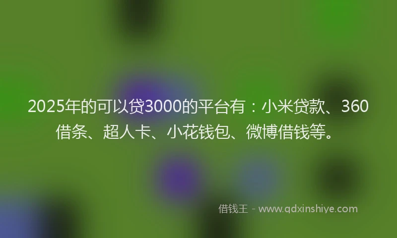 2025年的可以贷3000的平台有：小米贷款、360借条、超人卡、小花钱包、微博借钱等。